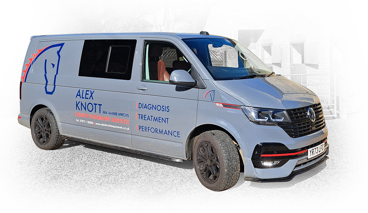 alex knott equine mobile vet