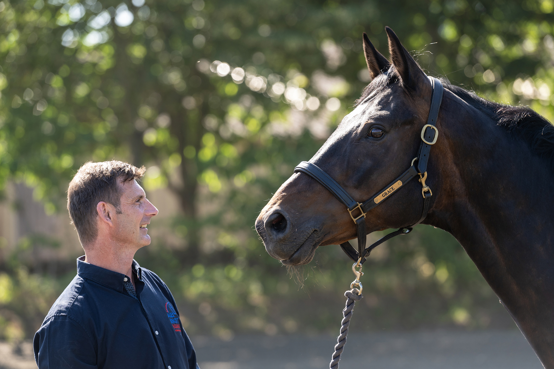 alex knott equine vet