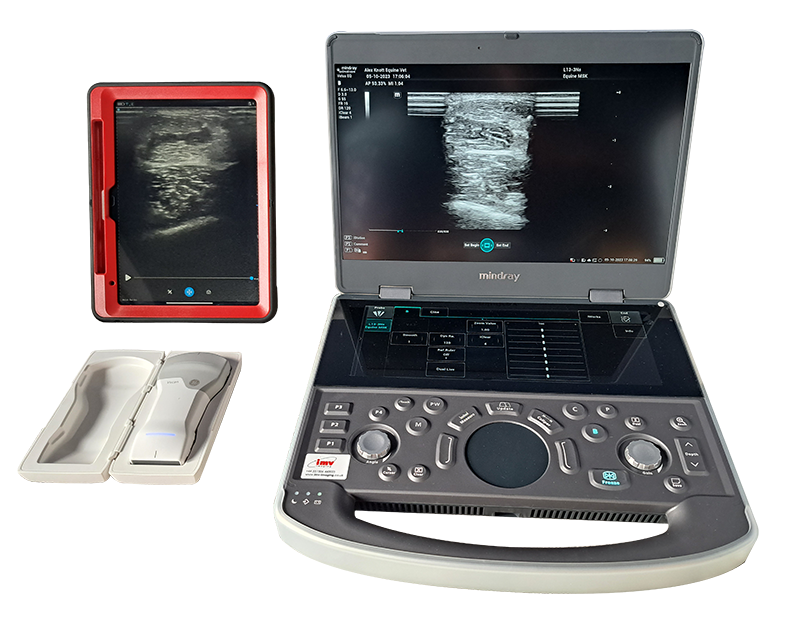 equine ultrasound equipment